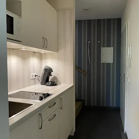 Haus Stiegeler - Gottfried Beck Apartment Freiburg im Breisgau
