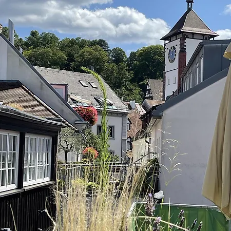 Apartament Stiegeler *