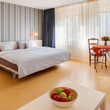 公寓 Stiegeler 弗赖堡