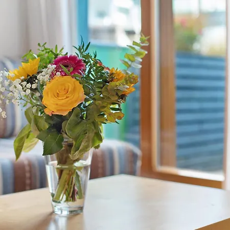 Stiegeler * Fryburg Bryzgowijski