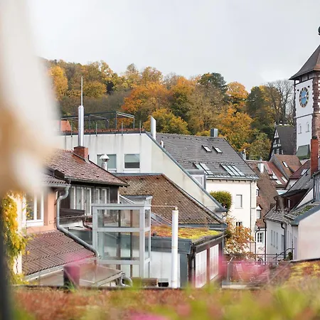 Appartement Stiegeler Fribourg im Breisgau
