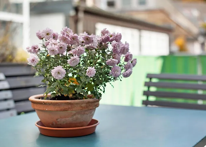 Stiegeler Fribourg im Breisgau