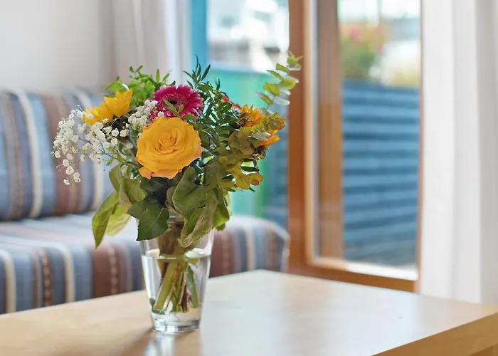 Stiegeler * Freiburg im Breisgau