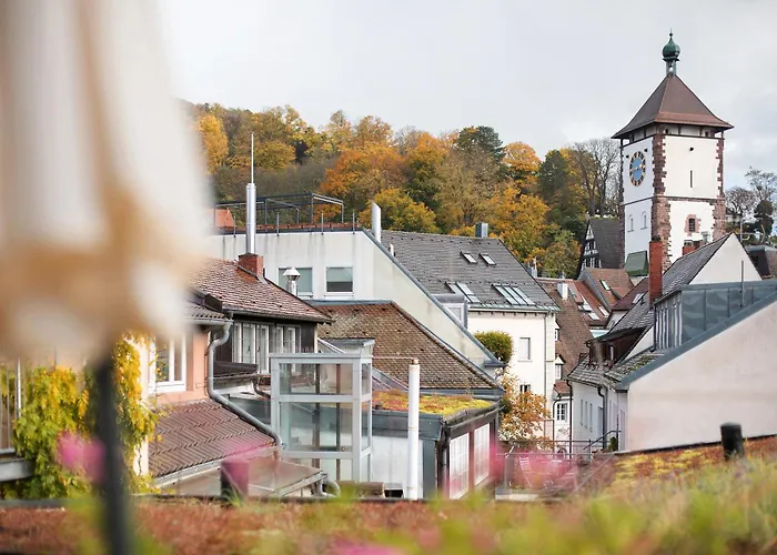 Appartement Stiegeler Fribourg im Breisgau